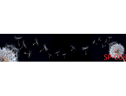 SP-068 ОДУВАНЧИКИ Глянцевая стеновая панель ALBICO  2800*610*6мм