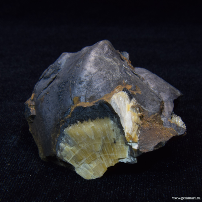 Барит на псиломелане в полости ракушки. 50*50*42мм