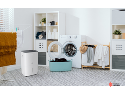 Осушитель воздуха серии CARISMA Villa RD-CR30-E