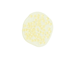 ARTISTRY STUDIO Увлажняющий супер-концентрат для сияния кожи, 20мл