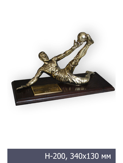 статуэтка ST-024 Акинфеев