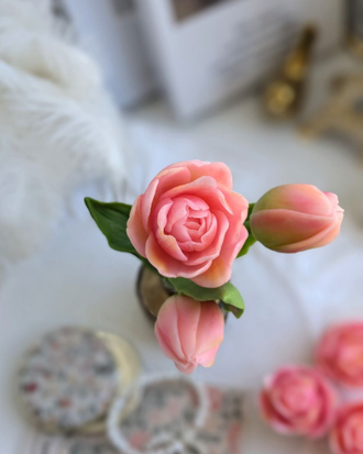 Тюльпан Мэй (бутон)