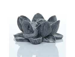 Змейка в цветке лотоса. ОПТ