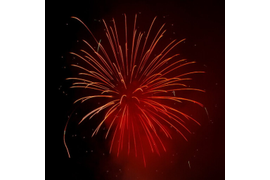 САЛЮТ НА ГЕНДЕР ПАТИ