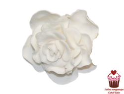 Цветы сахарные Роза одиночная белая