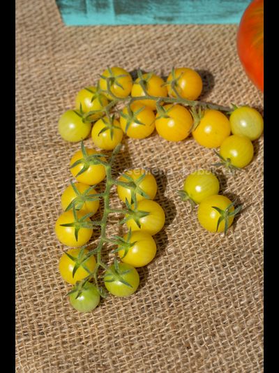 Томат Lotte's Lime (Лайм Лотте), 10 шт