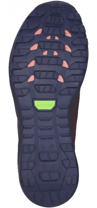 Gecko xt best sale