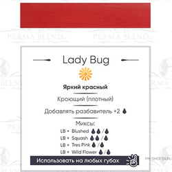 Lady Bug