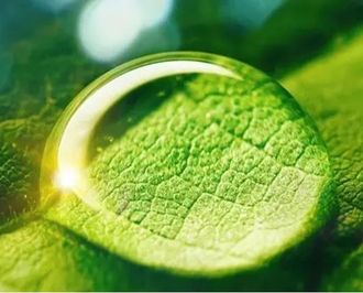 MICROSOL NATURAL