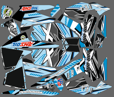 Can-am BPR Renegade #906