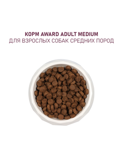AWARD (Авард) сухой корм для собак средних пород, Индейка, Курица 2 кг