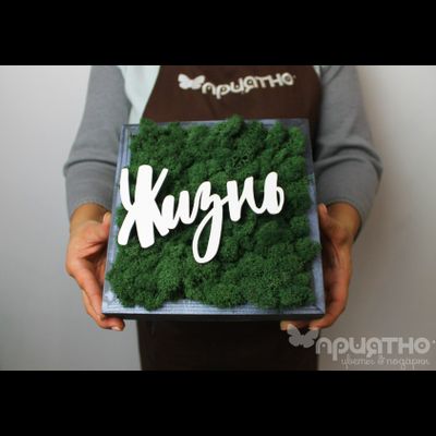 ЖИВАЯ ЭКО-КАРТИНА 1058