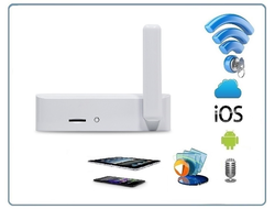 Шлюз LAN с DVR для работы с комплектами DE/TL-WF03 DE/TL-WF04, HD (Acebell)