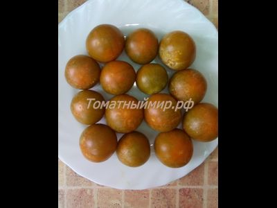 Томат Злая Маслина (Evil Olive, США)