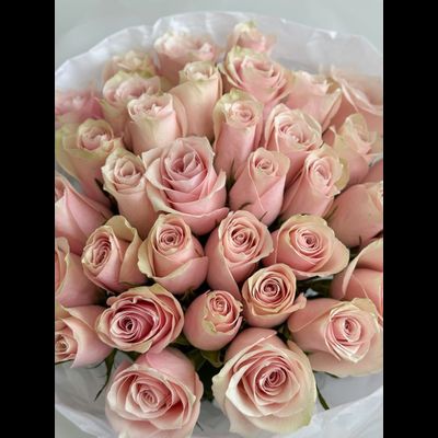 Букет из 35 нежно-розовых роз