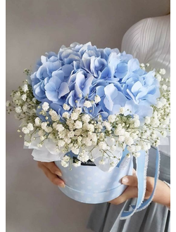 Коробка с гортензией и гипсофилой