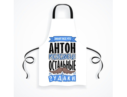 Фартук #4 Антон