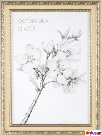 Фоторамка багетная со стеклом 21*30 663101