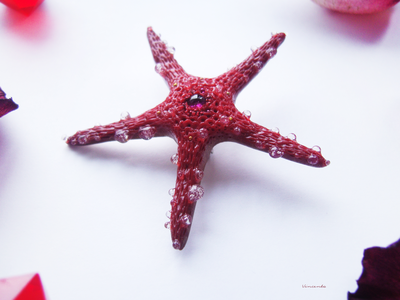 Морская брошь "Звезда ундины"