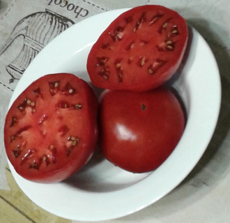 Семена томата Акми