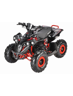 Электроквадроциклы