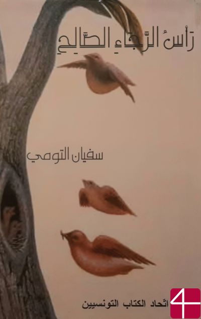 Мыс Доброй Надежды, Суфьян Эль-Туми