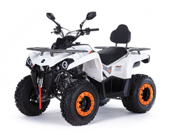 Квадроцикл MOTAX GRIZLIK 200 ULTRA