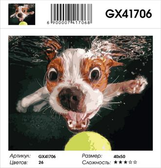 Картина по номерам В погоне за мячом GX41706(40x50) Холст на подрамнике