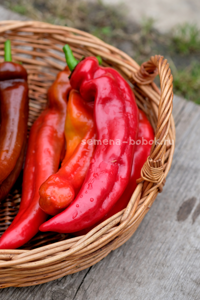 Перец сладкий Палермо Красный, 10 шт