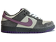 Nike Air Force 1 SB Dunk Purple Pigeon