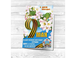 Обложка 9 мая на паспорт №6
