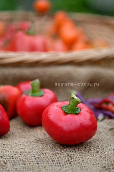 Перец сладкий Маусики, 10 шт