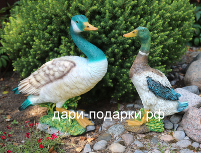 Селезень - красавец 40*28см полистоун Россия 1675/012564*