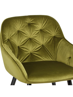 Кресло «Регент», WX-255 (оливковый)