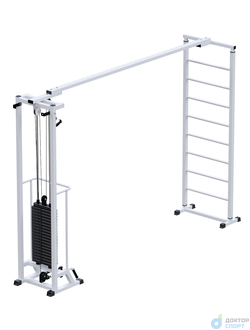 "Биотонус"  100 кг со шведской стенкой