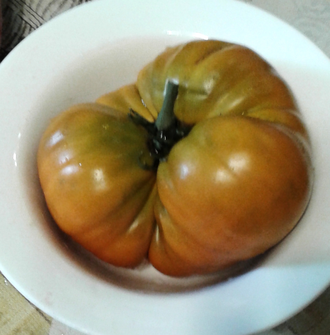 Семена томата Улуру Охра Гном