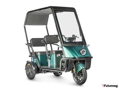 Электротрицикл Wanshida NIPLA 500 60V 1000Вт зеленый