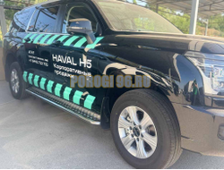 Пороги с накладным листом Папа Тюнинг d53 для Haval H5 2024-