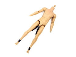 Тело (телоид) 1/6 (78075) - DAMTOYS