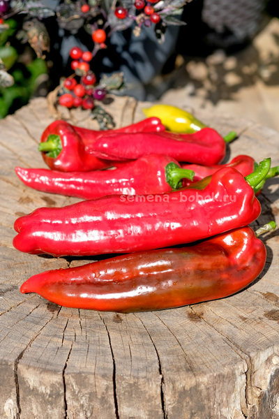 Перец сладкий Тронторолло, 10 шт