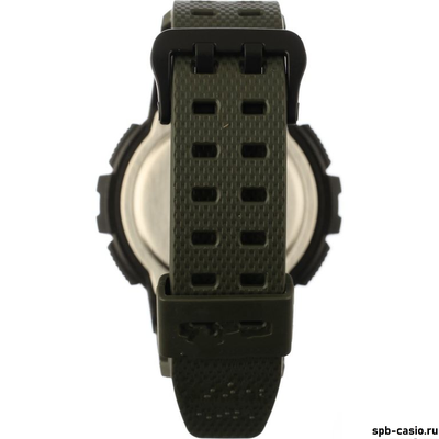 Часы Casio WS-1200H-3AVEF