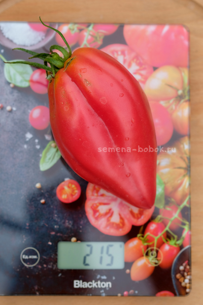 Томат Тюльпан Розовый, 5 шт