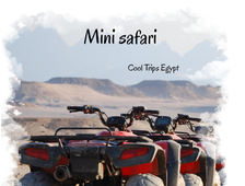 MINI SAFARI (El Quseir, Port Ghalib, Marsa Alam)