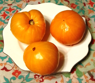 Семена томата Иволга Гном