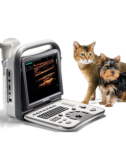 УЗИ обследование органов брюшной полости