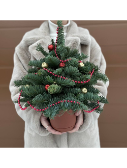 Елочка в красных оттенках