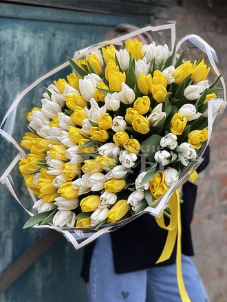 Букет из 101 белого и желтого тюльпана
