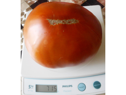 Томат Минусинские шары (усл)