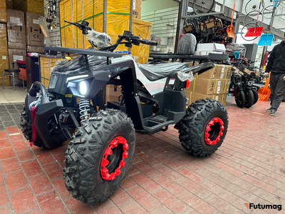 Электроквадроцикл Ikingi 225