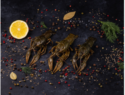 Крупный рак ~ 15-16шт в 1 кг